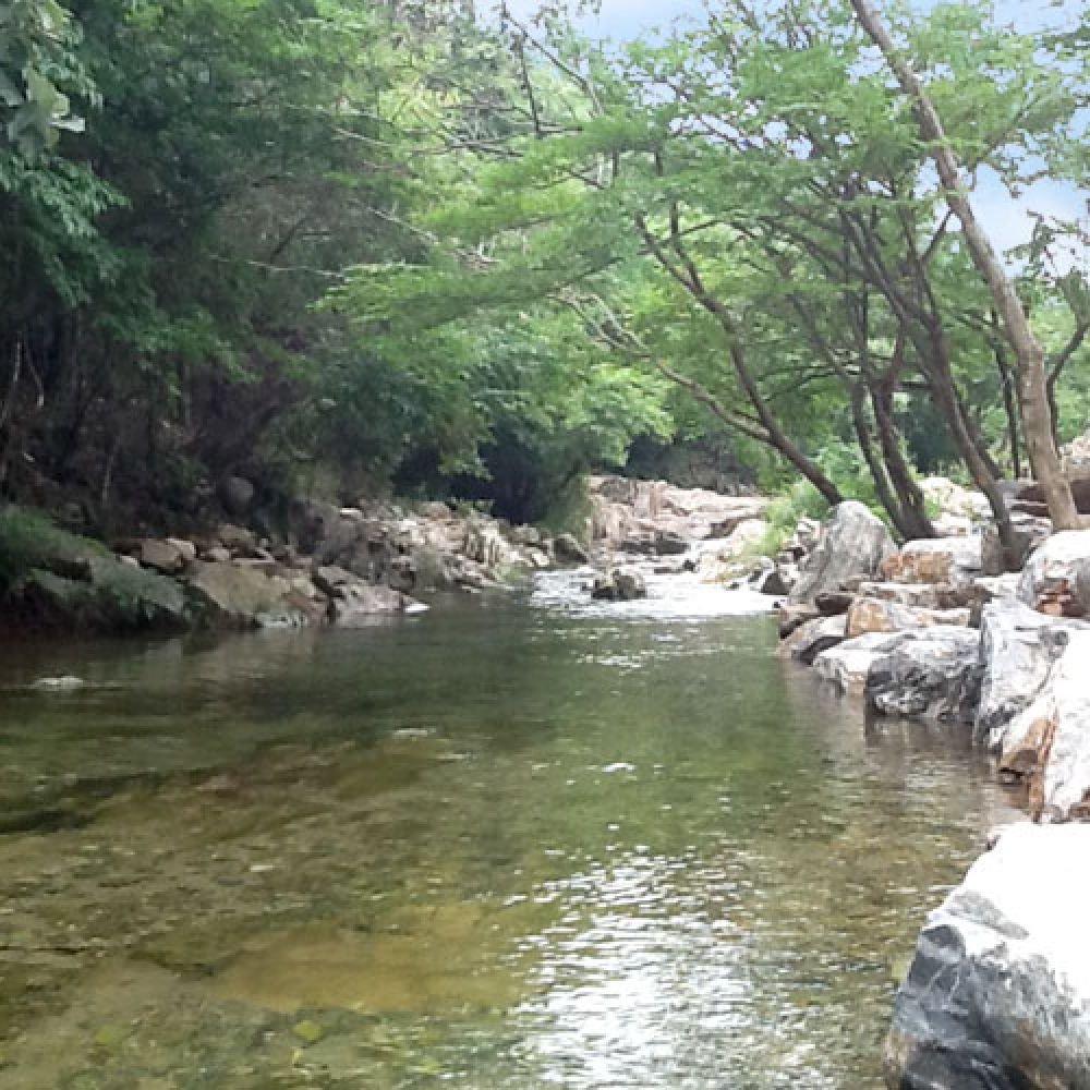 주변전경